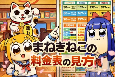 まねきねこの料金表の見方をやさしく解説｜安いプランの選び方と損しない確認ポイント