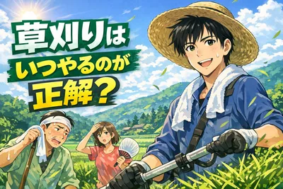 草刈りはいつやるのが正解？時期・やり方・安全対策・業者に頼む目安までわかりやすく解説