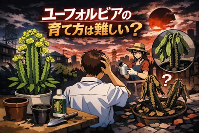 ユーフォルビアの育て方は難しい？置き場所・水やり・植え替え・毒性の注意点を解説