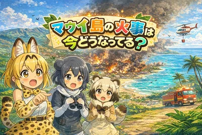 マウイ島の火事は今どうなってる？原因・被害・ラハイナ復興の現状を解説