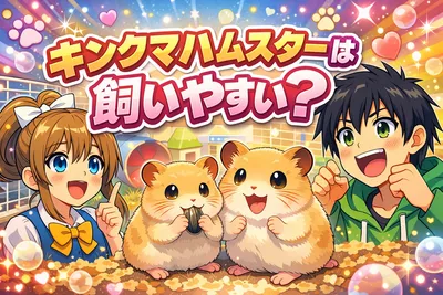 キンクマハムスターは飼いやすい？性格・寿命・飼育のコツと注意点をわかりやすく解説