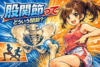 股関節ってどういう関節？役割・痛みや違和感の原因・日常でできるケアまでやさしく解説