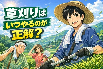 草刈りはいつやるのが正解？時期・やり方・安全対策・業者に頼む目安までわかりやすく解説